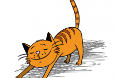 stretchy_cat