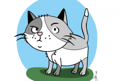 scepti_cat