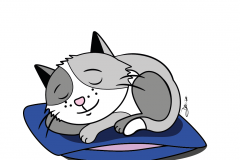 sleppy_cat