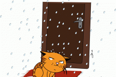 wet_cat_schoewing