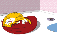 3_frecher_fisch_katze_anders
