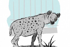 hyaene
